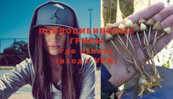 ГАЛЛЮЦИНОГЕННЫЕ ГРИБЫ Верхний Тагил