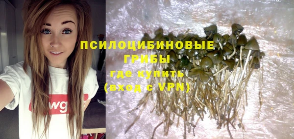 apvp Верея