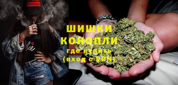 ГАЛЛЮЦИНОГЕННЫЕ ГРИБЫ Верхний Тагил